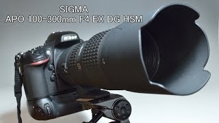 SIGMA100300mm F4 EX DG HSM Review [upl. by Schiff]