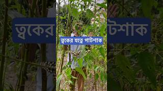 ত্বকের যত্নে পাটশাক। [upl. by Mok]