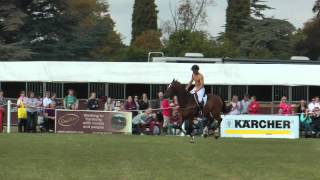 Blenheim Gate Jump Challenge Winner [upl. by Genesa]