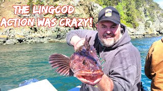 Lingcod Fishing Puget Sound Washington  San Juan Islands Opening Day 2024 [upl. by Eveleen]