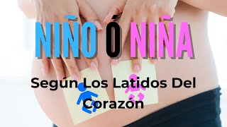 COMO SABER SI ES NIÑO O NIÑA En El Embarazo Según Los Latidos Del Corazón shorts [upl. by Mulvihill]