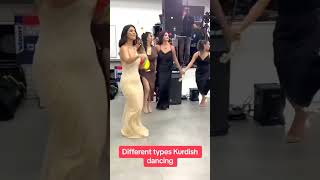 Kurdish Wedding Dance [upl. by Raman909]