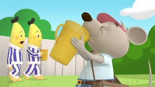 Bananas Stinky Sponge Lemonade  Bananas in Pyjamas Season 2  Full Episodes  Bananas In Pyjamas [upl. by Ecraep]