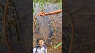 Modinha pesca no Laço🤠 fishing reaction pescaria Traíra [upl. by Silvio]