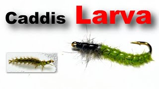 Best Caddis Larva Nymph Fly Tying for Trout and Grayling [upl. by Halden]