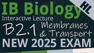 NEW 2025 EXAM  IB Biology B21  Membranes amp Transport AHL  Interactive Lecture [upl. by Wernsman]