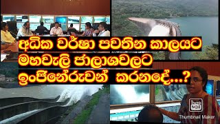 අධික වැසි දිනවලදි මහවැලි ජලාශ වලට සිදුකරන දේ [upl. by Eldon]