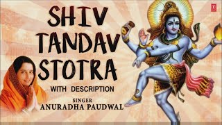 Shiv Tandav Stotra by Anuradha Paudwal I Full Audio Song I Art Track [upl. by Claudia]