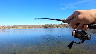 Lake Camanche Trout Fishing [upl. by Rehpotsirc]