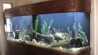 275 Gallon Acrylic Aquarium  Setup Cost and Review Plus Maintenance tips [upl. by Valery94]