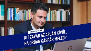 MárkiZay Péter Kit zavar az apján kívül ha Orbán Gáspár meleg [upl. by Gokey]