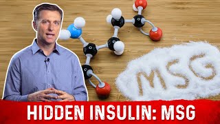 The Hidden Insulin MSG – Monosodium Glutamate Explained by DrBerg [upl. by Zelten]