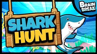 Going on a Shark Hunt  Brain Break  Bear Hunt  Brain Breaks for Kids  Danny Go Noodle [upl. by Nahtanoj]