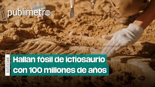 ¿Un dinosaurio Encuentran huesos de ictiosaurio en Rusia [upl. by Ahsats]