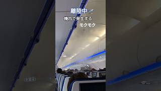 離陸中🛫機内で発生するモクモク🤔 [upl. by Zarah47]