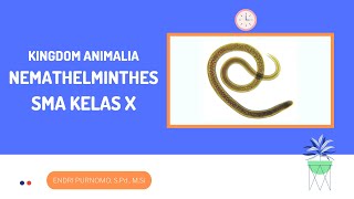 NEMATHELMINTHESCACING GILIGKINDOM ANIMALIADUNIA HEWANINVERTEBRATAANIMAL KINGDOMSMA KELAS 10 [upl. by Dahlia]