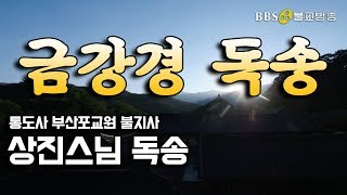 BBS 인기동영상 독경금강경 독송 상진스님 매일기도 BBS염불독경 [upl. by Mahda]