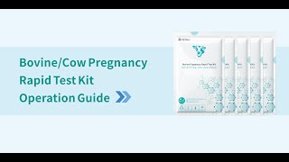 AniEasy  Bovine pregnancy rapid test 1 Pack [upl. by Kiona369]