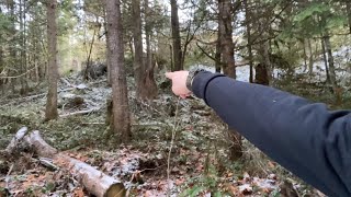 Where to set up the firewood winch  yarder 🤔 [upl. by Koran11]