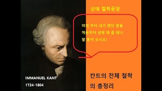 임마누엘 칸트 순수이성비판 오성 개념 판단 상애 강석현 읽고 해설 [upl. by Leeland]