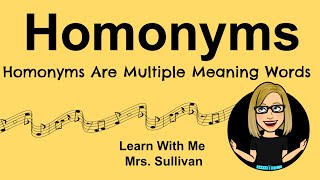 Homonyms are Multiple Meaning Words [upl. by Bergh365]