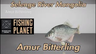 Fishing Planet  Amur Bitterling  Selenge River Mongolia [upl. by Calondra]