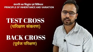 Back Cross Vs Test Cross  Genetics  Principles of Inheritance and Variation Class 12 BiologyNEET [upl. by Borg]