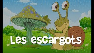 Les escargots  chanson pour enfants [upl. by Caressa]