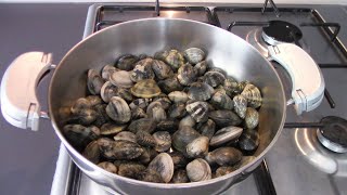 Come acquistare conservare e cucinare le vongole evitando rischi alimentari [upl. by Olyhs653]