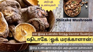 ஓக்மரக் காளான்  Shiitake ஷிடாகே Mushroom health benefits in tamil  Medicinal mushrooms [upl. by Flip]