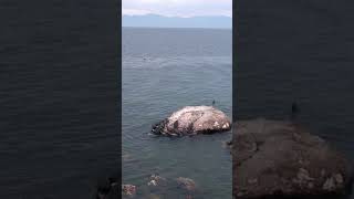 Discover Lake Baikal Earths Deepest Lake [upl. by Melamie995]