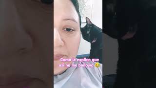 Mi gata me quiere acicalar youtube shorts video youtubeshorts ytshorts foryou blackcat [upl. by Heuser]