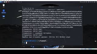 тесты моего ssl tunnel на c С linux python тестированиепо [upl. by Franciskus]