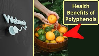 What are Polyphenols  Health Benefits of Polyphenols [upl. by Cresa]