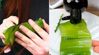 Gli utilizzi che non conoscevi del gel di aloe vera come riutilizzare lestratto dalla foglia [upl. by Weaver]