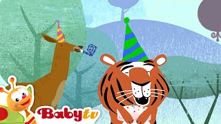 Gefeliciteerd met je verjaardag tijger 🐯 🥳  Getallen en vormen voor kinderen  BabyTVNL [upl. by Bloom]