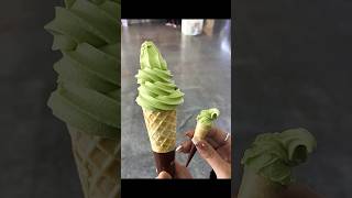 This ice cream lifehack did NOT go as expected 🍦😭 [upl. by Anaerb]