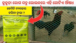 How to Use Tetracycline Powder in Poultry Farm [upl. by Eliot]