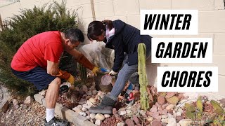 VLOG 13 Tips for handling glochids spines and thorns Desert Garden Maintenance [upl. by Socem]