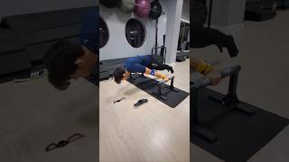 Road to maltese ep2 calistnenics planche shorts workout [upl. by Alahs]