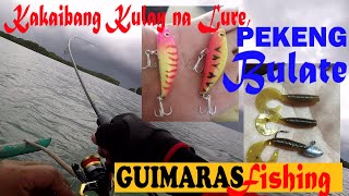 SHOPEE LURE TEST  NEW COLORS  softbaits FISHING  GUIMARAS ISLANDS FISHING  grouperfish [upl. by Dreeda24]