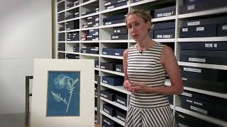 Anna Atkins Cyanotypes [upl. by Adniuqal]