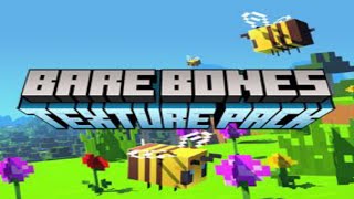 Bare Bones Texture Pack Minecraft pe 116 [upl. by Pippo]