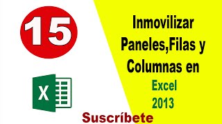 Inmovilizar Paneles filas y columnas en Excel  Curso de Excel [upl. by Atikat]