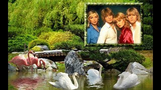 The Land of Make Believe  Bucks Fizz ♥☼♫☼♥ [upl. by Angid168]