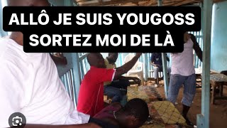 Allô je suis yougoss sortez moi de là [upl. by Llertnac]