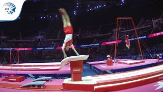 Florian SCHMIDLE AUT  2018 Artistic Gymnastics Europeans junior qualification vault [upl. by Meade]