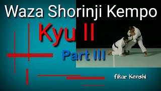 Shorinji Kempo Waza Technique  Kyu II Part 34 [upl. by Conni]