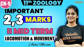 11th Zoology  Chapter 9 Important 2 and 3 Marks  2nd Mid Term  Asha Maam [upl. by Ynoyrb]