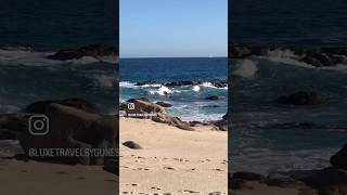 Beach Views at Los Cabos Mexico [upl. by Sirovart589]